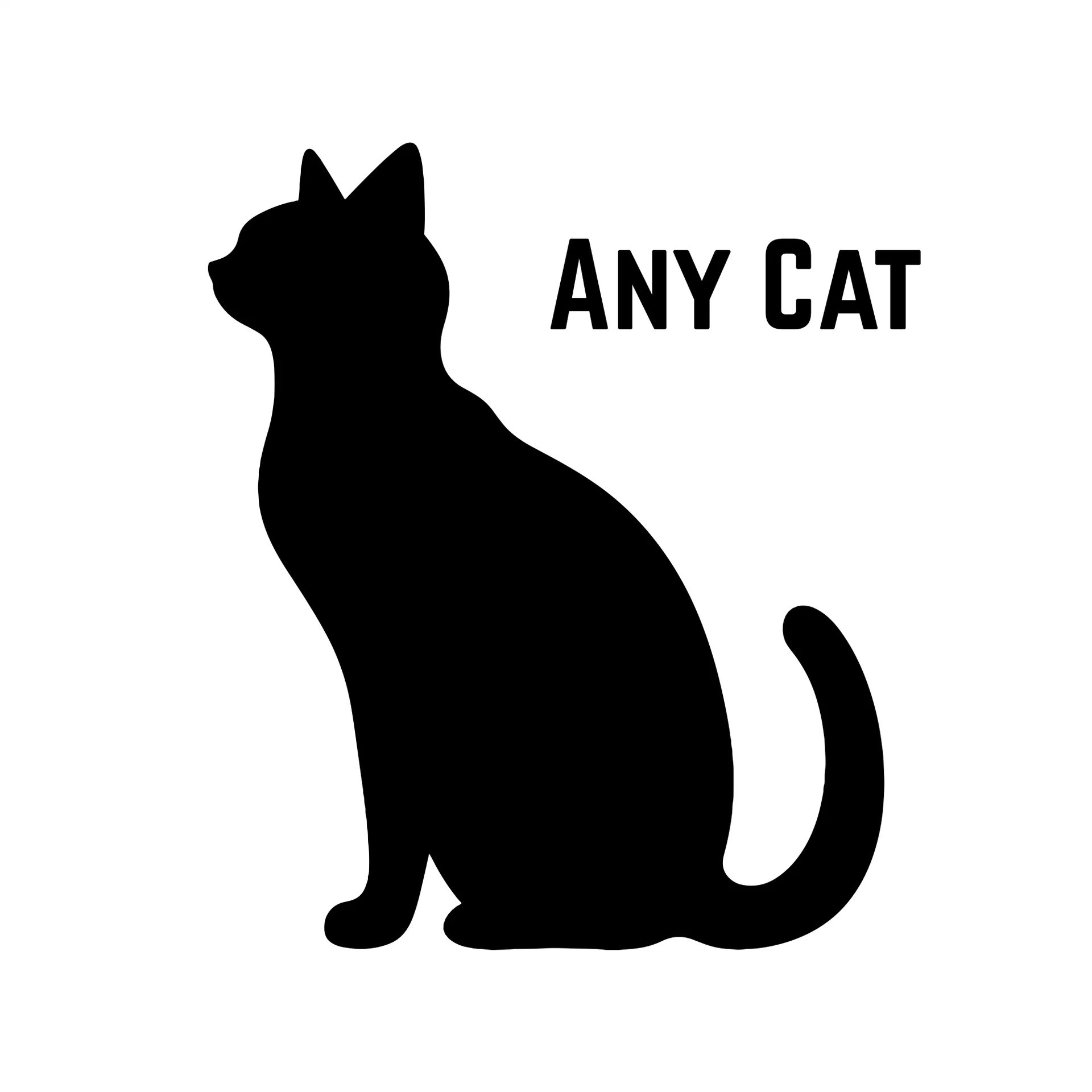 A Cat  Months And Older