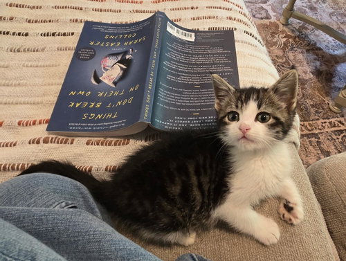 Angel Kitten photo 2