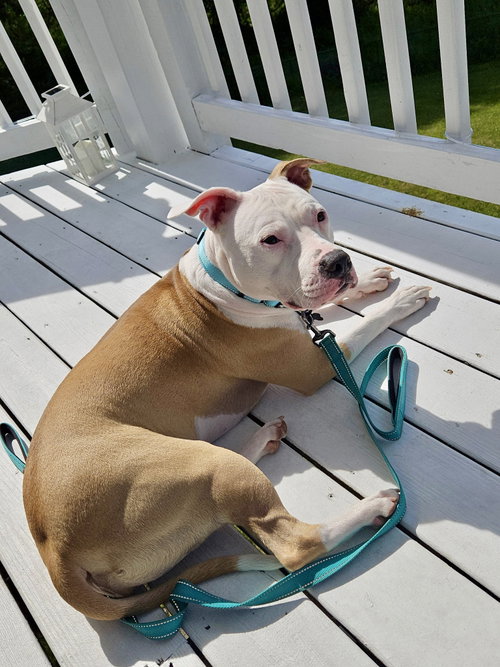 Leah NJ photo 5