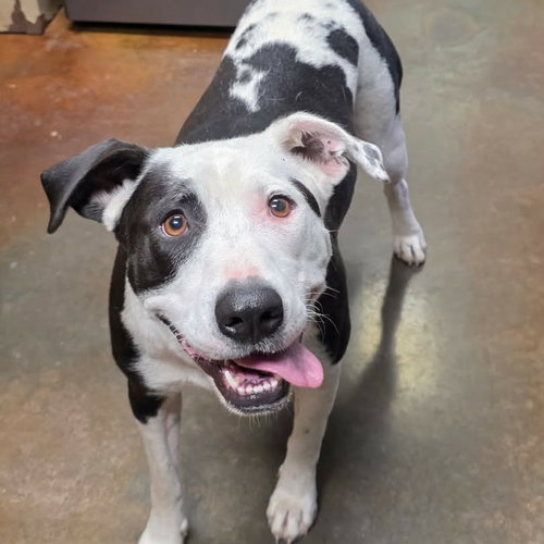 Maddie Girl Louisiana