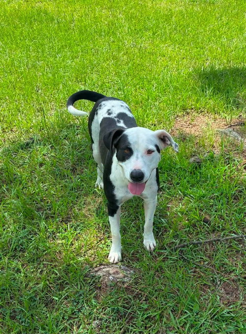 Maddie Girl Louisiana photo 9