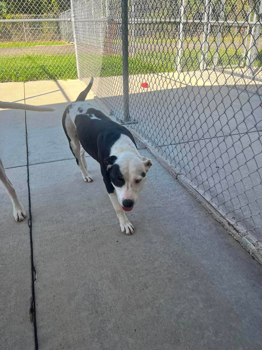 Maddie Girl Louisiana