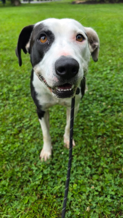 Maddie Girl Louisiana photo 5