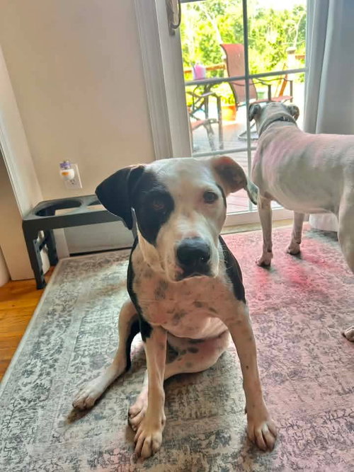 Maddie Girl Louisiana photo 11