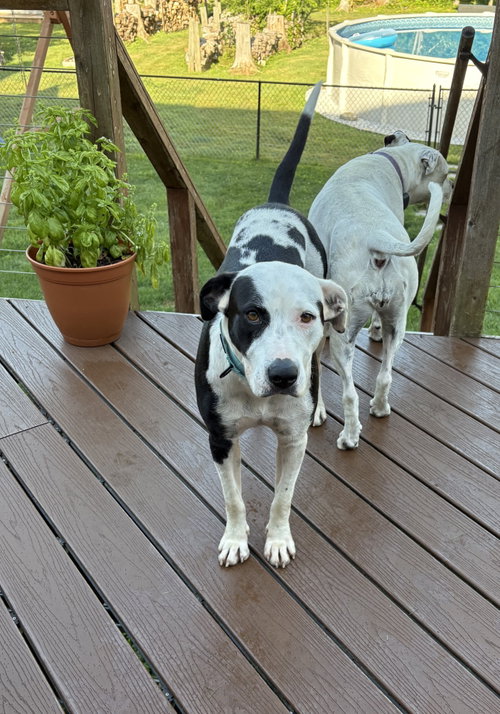 Maddie Girl Louisiana photo 3