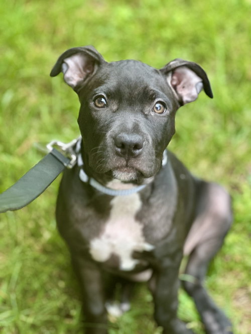 Baby Zoey Nj