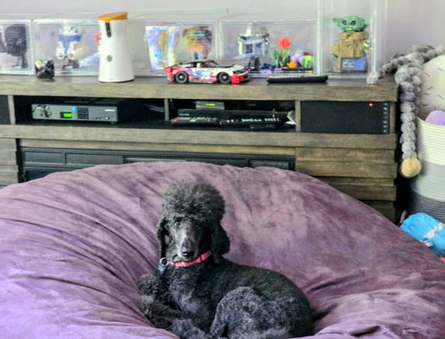 Marley Gch photo 5