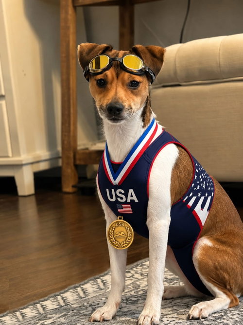 Michael Phelps Sussex