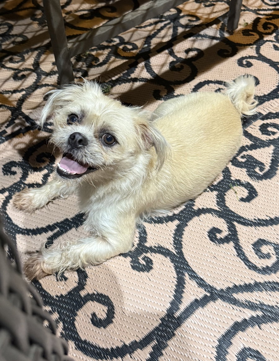 Winnie Lonestar