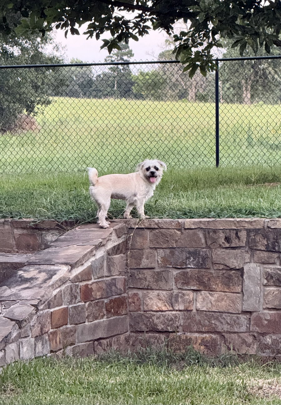 Lizzie Lonestar