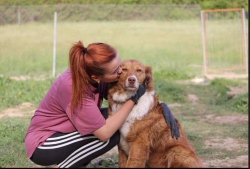 Kuqo Albania photo 2