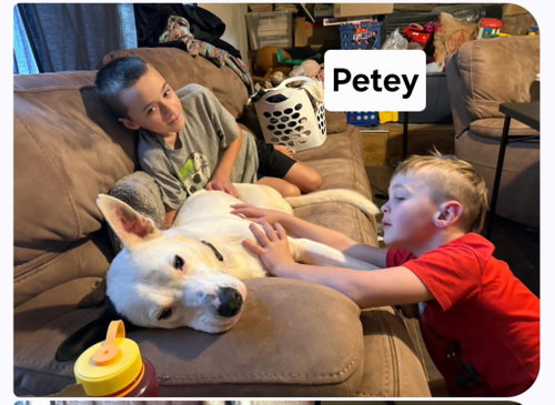 Petey Dixon photo 4
