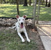 Nellie Lonestar
