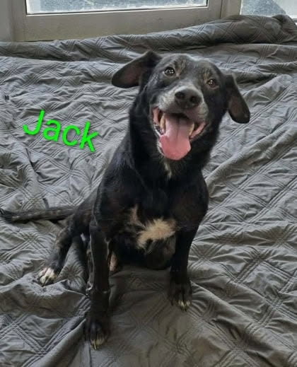 Blackjack Dixon, photo 4