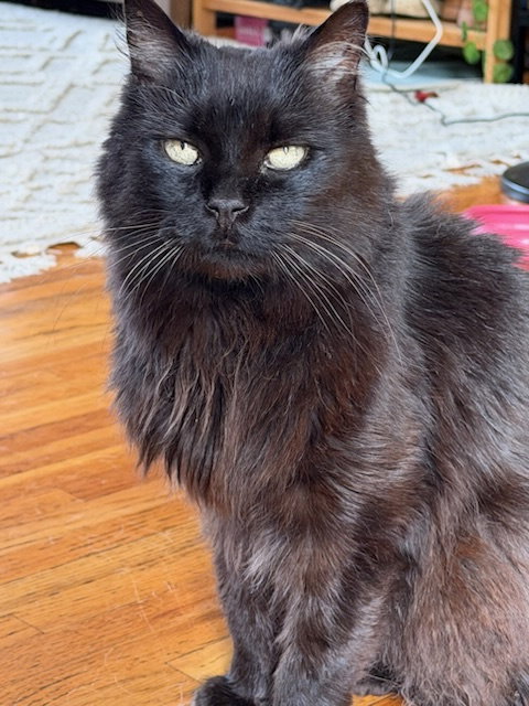 Fluffy