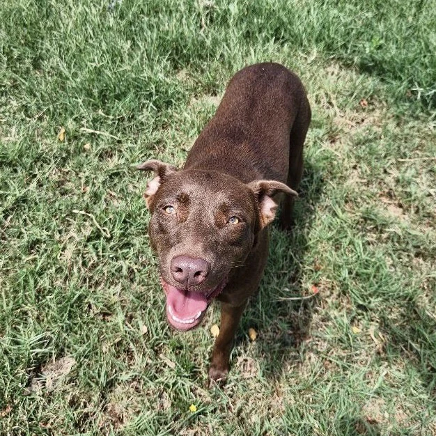 Kay Kyser Gch