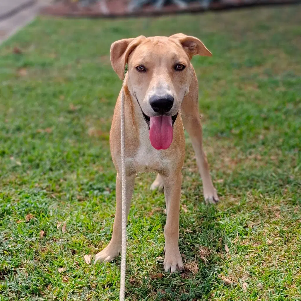 Bert Gch image 2