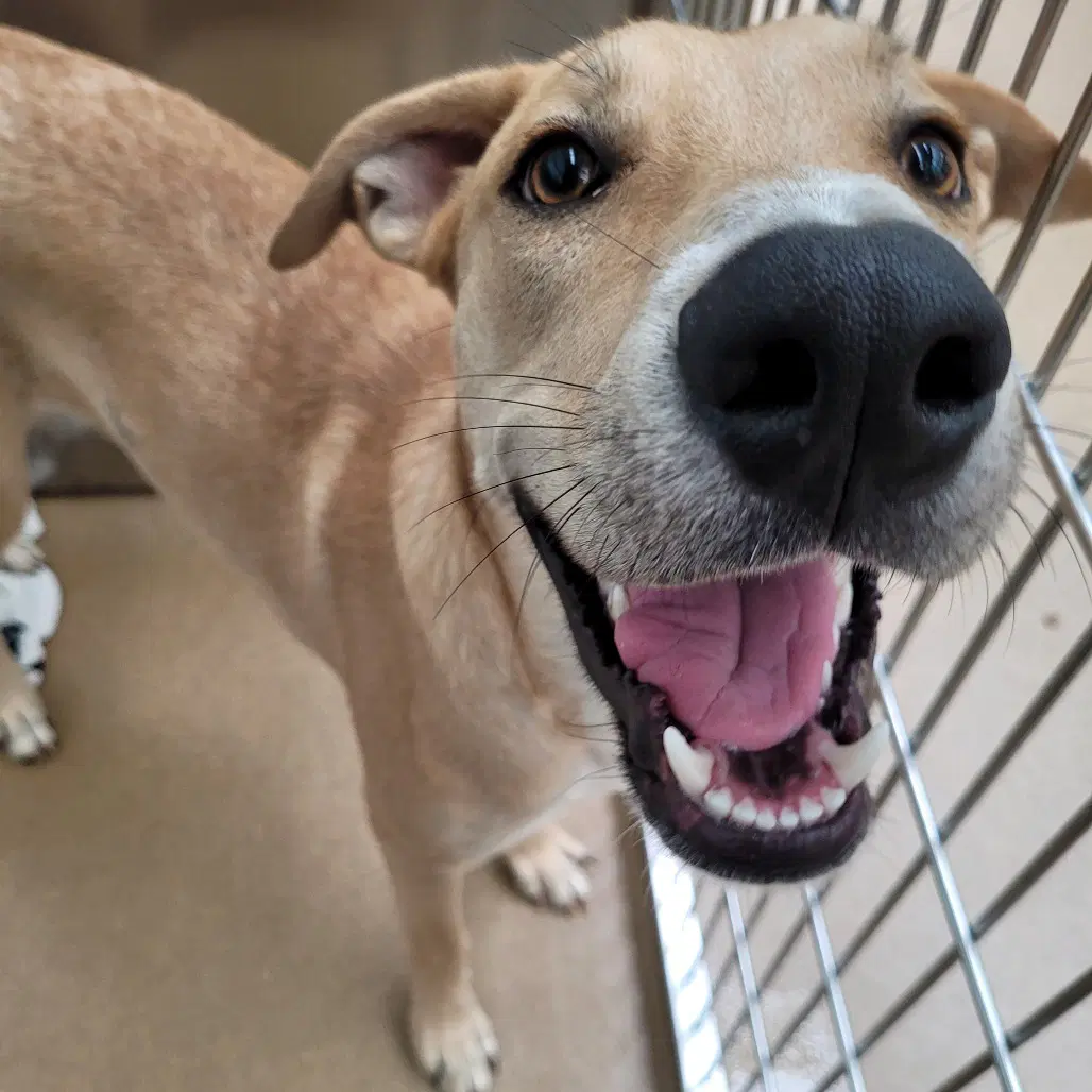 Bert Gch image 3