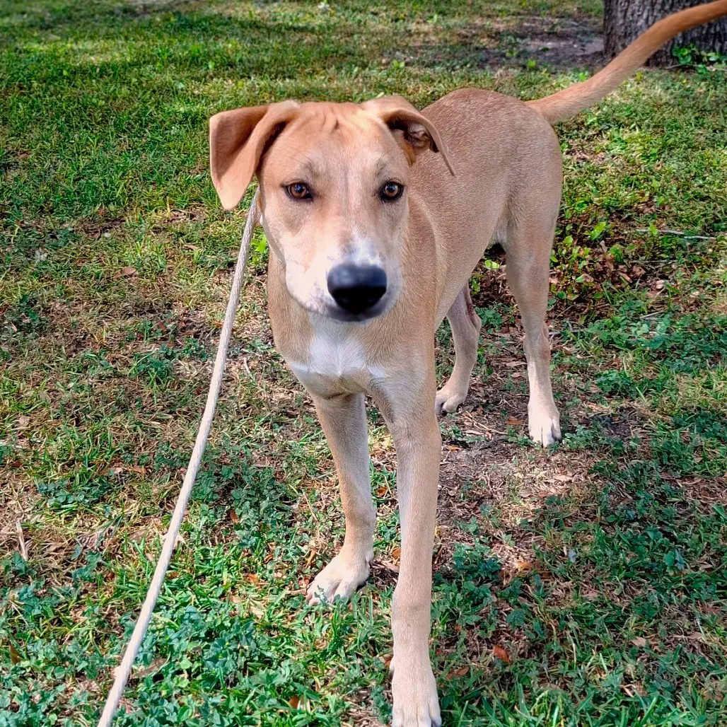 Bert Gch image 4