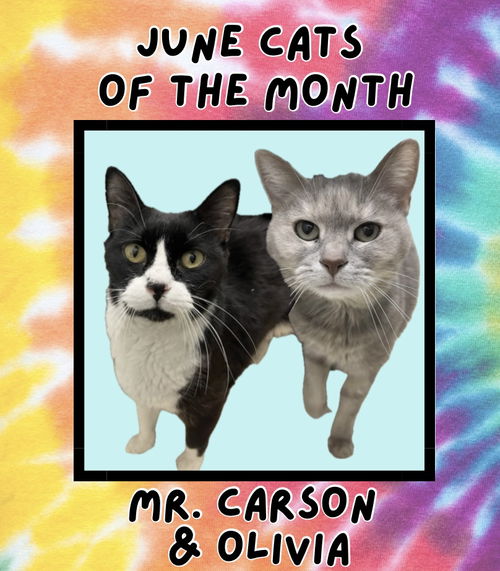 Mr Carson RM