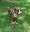 Cain - Photo 2