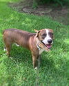 Cain - Photo 3