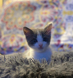 Photo 3 of Cloud