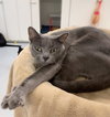 Lady Ashley - Photo 2