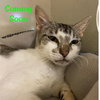 Zena - Photo 2