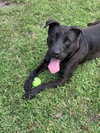 Starla - Photo 2