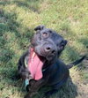 Starla - Photo 3