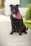 Starla - Photo 4