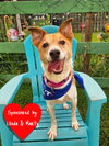 Buddy - Photo 1