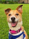 Buddy - Photo 2