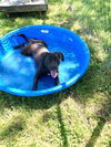 Popeye - Photo 3
