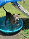 Maggie - Photo 2