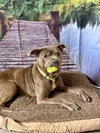Maggie - Photo 3