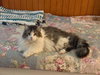 Katherine - Photo 3