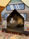 Katherine - Photo 4