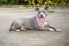 Charlie Blue - Photo 2