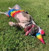 Charlie Blue - Photo 4