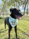 adoptable Dog in  named Kallie