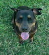 Olive - Photo 4