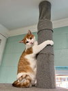 Sunkist - Photo 3