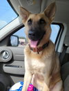 Irwin - Photo 4