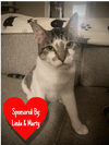 Zena - Photo 1