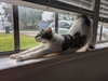 Zena - Photo 2
