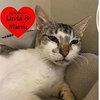 Zena - Photo 3