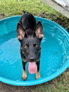Aberdeen - Photo 3