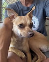 Pebbles - Photo 4